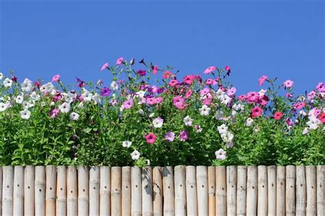 Pagar Hiasan Untuk Berkebun Hiasan Kreatif Bunga Dan Platform • Semua