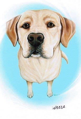 Art By Weeze Yellow Lab Print Labrador Art Yellow Lab Art Labrador