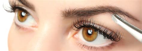 So i thought i would share with you the treatment i. Lash & Brow Treatments - Janet Dale Beauty Culture