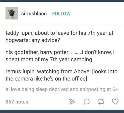 pin by chara bresser on hp headcanons harry potter teddy lupin geek culture