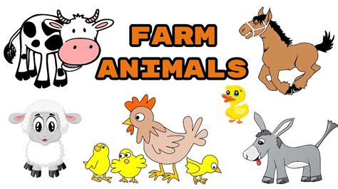 Farm Animals Preschool Video Farm Animals For Preschool And Nursery I