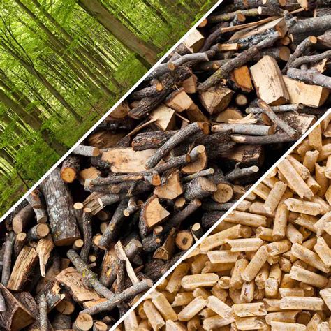 Todo Lo Que Debes Saber Sobre La Biomasa Concepto Tipos Ventajas Y Sexiz Pix