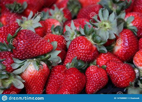 Sweet Red Strawberries Stock Image Image Of Nature 147688801
