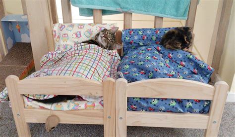 Japanese Cat Owners Turn Ikea Doll Beds Into Adorable Cat Beds Bored
