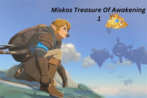 Miskos Treasure Of Awakening Side Quest Guide The Nature Hero