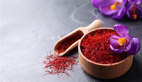 Saffron Plant Or Kesar Flower Facts Growth Care Tips And Uses