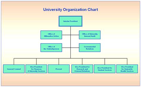 University Organogram Structure Template Organizational Chart Images