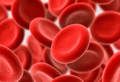 Hemoglobin Levels Low Hemoglobin Causes Hemoglobin A1c