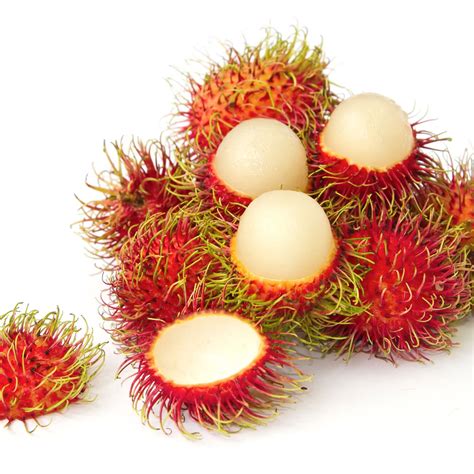 It has no saturated fats or cholesterol but composes of good amounts of dietary fiber rambutan tree yields twice a year. Rambutan (Ngok) - Thai Food Online (authentic Thai ...