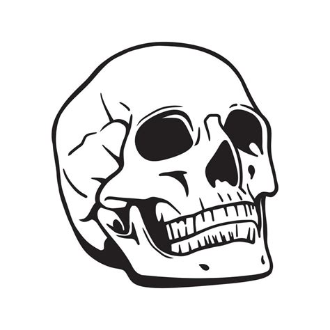 Cráneo Dibujado A Mano Ilustración Vectorial En Blanco Y Negro 7730950