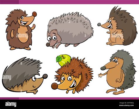 Cartoon Illustration Of Happy Hedgehogs Comic Animal Characters Set