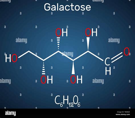 Galactose D Galactose Milk Sugar Molecule Linear Form Structural
