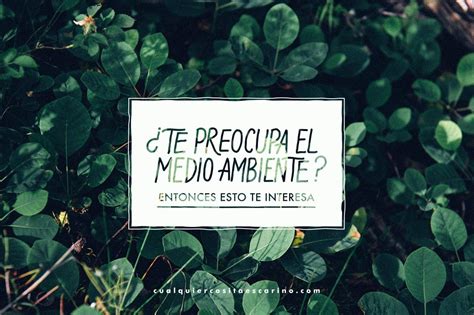 Descargar whatsapp plus 13.30.1 última versión de 2020 gratis características del mejor mod de la app oficial ⭐ y como instalar whatsapp+ apk en móvil. ¿Te preocupa el medio ambiente? Entonces esto te interesa ...