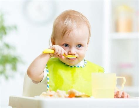 Cómo Debe Ser La Dieta De Un Bebé De 11 Meses Bekia Padres
