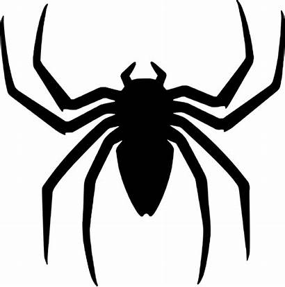 Spider Halloween Silhouette Clipart Svg Spiders Web