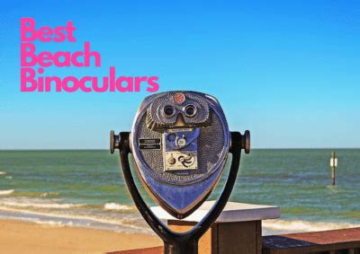 7 Best Beach Binoculars for Whale Watching From Shore