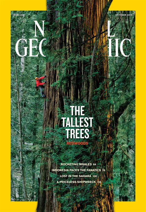 5 Famous National Geographic Covers Twistedsifter