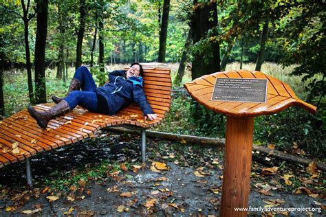 Ein familiengerechter campingplatz mitten im wald an einem herrlichen wildbach gelegen. A visit to the other Eifel - Eifel National Park Germany ...