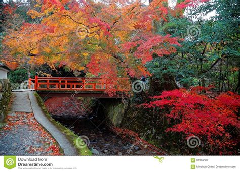 Scenery Of Autumn Foliage With View Of A Red Bridge Over A