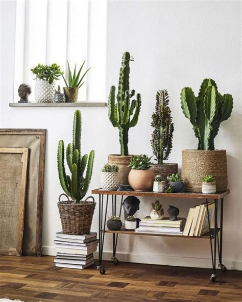There is evidence that peyote, or el mescalito, the living god, is used by the natives of northern mexico and southwestern usa for thousands of years. New The 10 Best Home Decor (with Pictures) - A cactus is ...