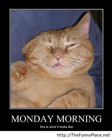 10 Funny Monday Morning Faces