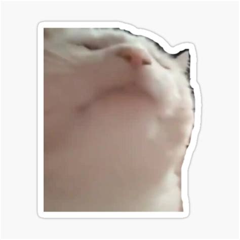 Vibing Cat Meme Sticker For Sale By Masoncarr2244 Redbubble