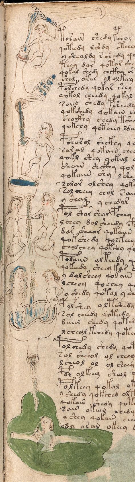 Sex And Procreation In The Voynich Manuscript Voynich Portal