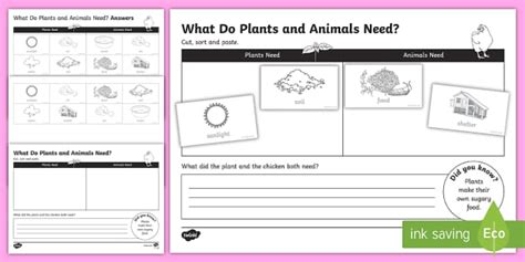 Plants And Animals Needs Worksheet Teacher Made Twinkl