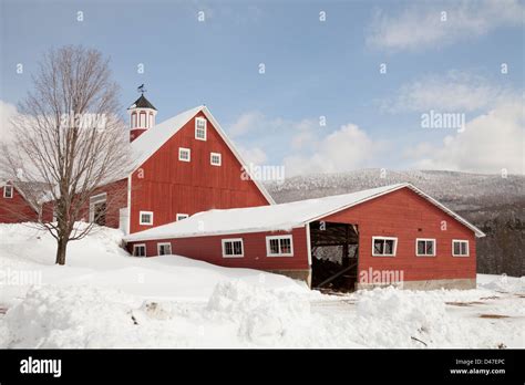 Red Barn In Snow Rochester Vermont Usa Stock Photo Alamy