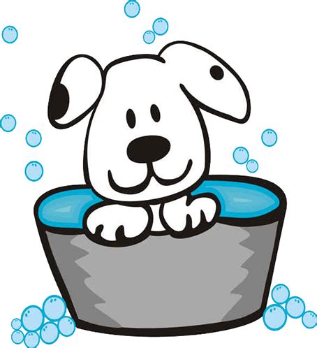 These steps will have you washing your dog like a pro! Dogs Matter Grooming | Mobile Dog Grooming in Rochester and Red Wing, Minnesota