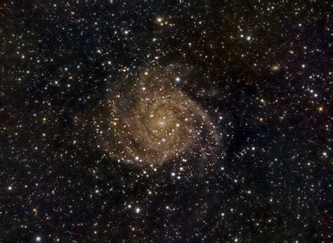 Ic342 Hidden Galaxy Spiral Barred Galaxy In Camelopardalis Flickr