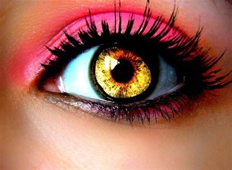 Colorful Eye Eye Shadow And Eyes Image 329744 On