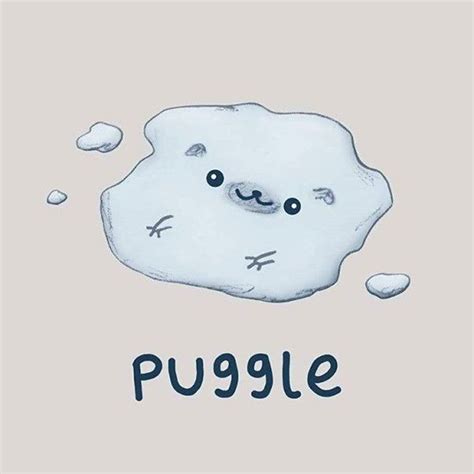 10 Of The Cutest Animal Illustration With Clever Puns Cute Animal