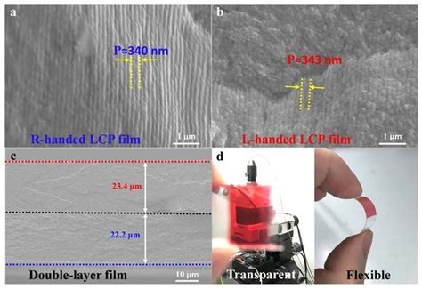 Versatile sectional valve, available in many configurations. (a) Cross sectional SEM image of right-handedness LCP film ...