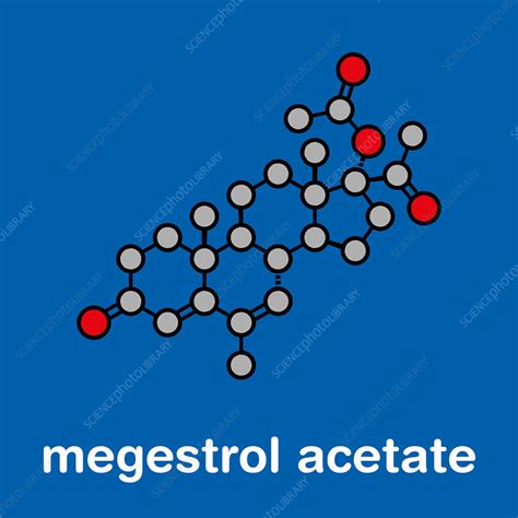 Megestrol Acetate Appetite Stimulant Drug Molecule Stock Image F028