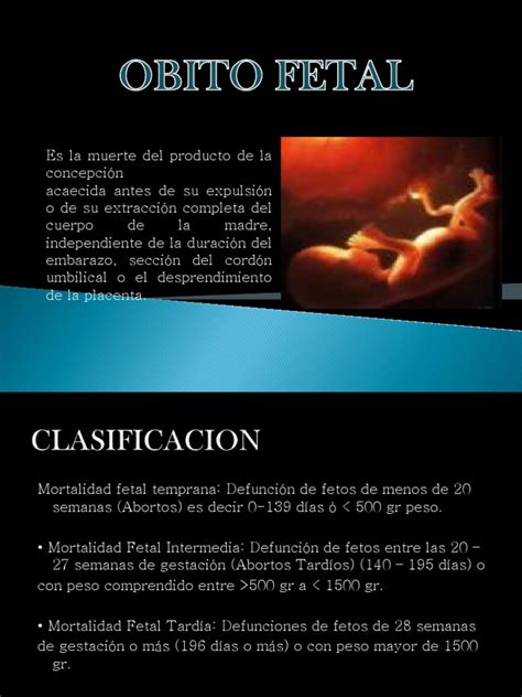 Obito Fetal Placenta El Embarazo