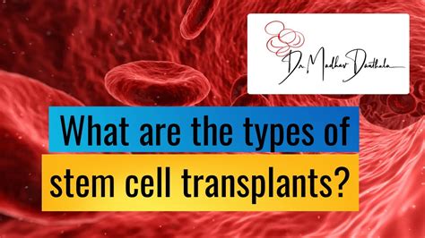 What Are The Types Of Stem Cell Transplants Youtube
