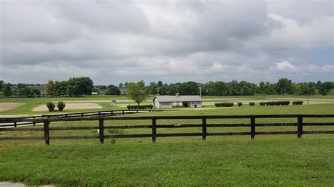 Kentucky Horse Park Lexington Aggiornato 2020 Tutto Quello Che Cè