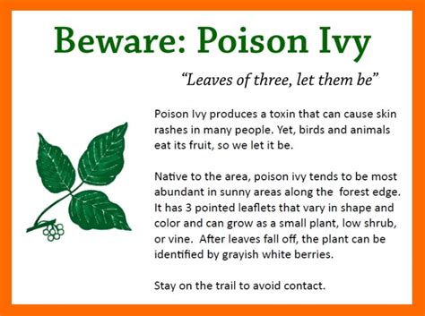 Watch Out For Poison Ivy Along The Trail Friends Of The Betsie Valley