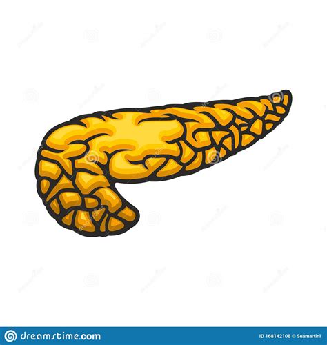 Pancreas Pictogram Menselijk Inwendig Orgaan Vector Illustratie