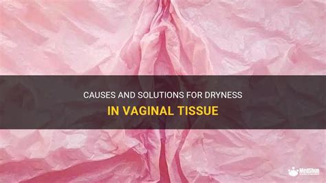 causes and solutions for dryness in vaginal tissue medshun