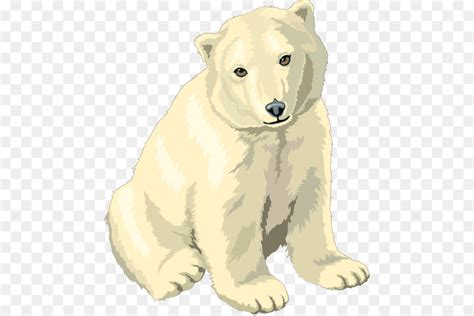 Gambar Beruang Kutub Kartun Gambar Kartun