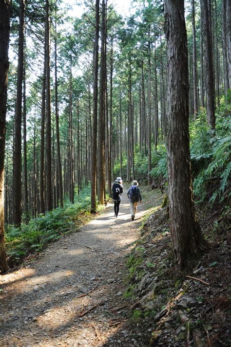 Kumano Kodo Rewarding Hike Far Off Beaten Path In Japan Cnn