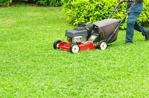 How To Mow A Lawn 2021 Yard Mowing And Cutting Grass Tips And Tricks