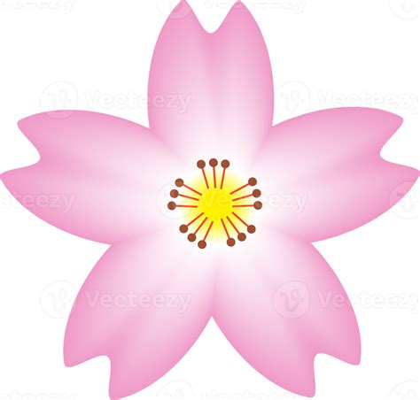 Sakura Clip Art Icon 12716532 Png