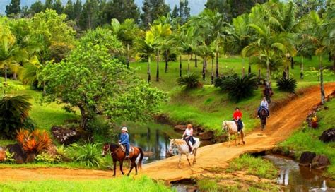 Horseback Riding Adventure Kauai