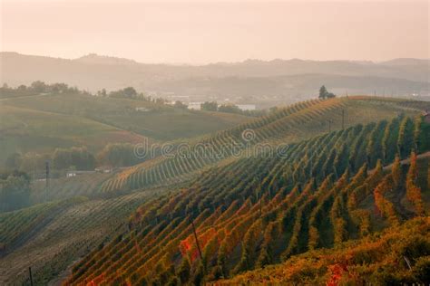 Amazing Sunset Over The Langhe Famous Vineyard Unesco Area Of Piedmont
