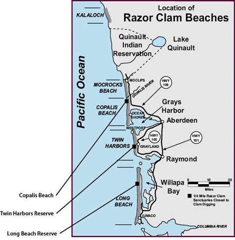 Razor Clam Rules Washington Fishing Eregulations
