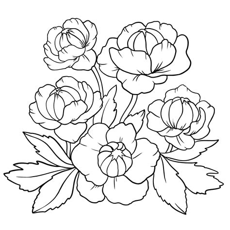 trollius flower flowers coloring pages for adults online