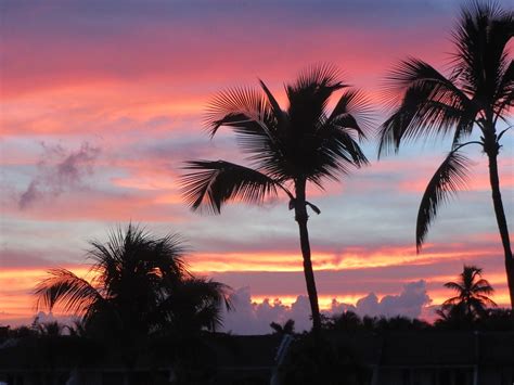 Palm Trees N Sunset Landscape 2127991960720 Christ Lutheran Cape Canaveral